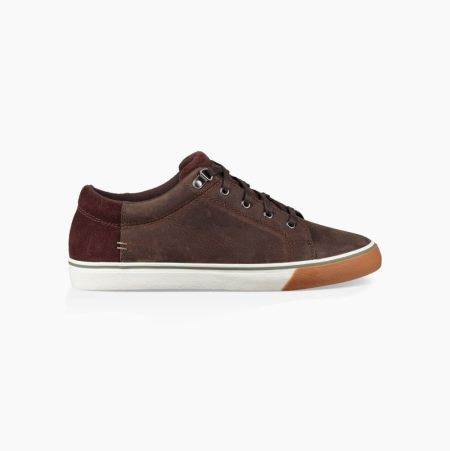 UGG Brock II WP Brown Sneakers for Men (RNOL85726)